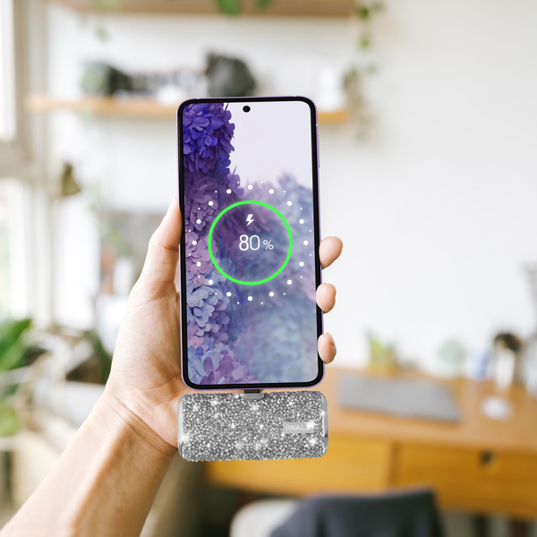 DBS4500 Diamond Silver (4)